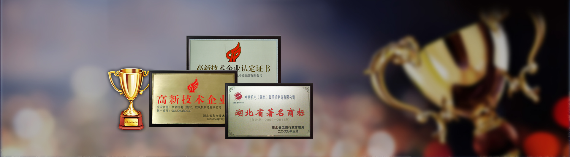 杭州臨安維蘭助劑有限公司